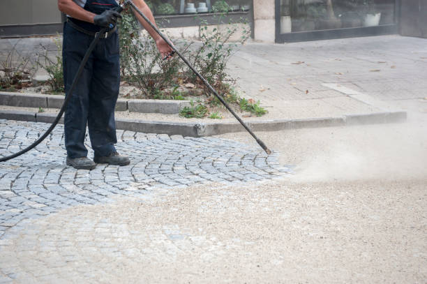 Best Soft Washing  in Maryland City, MD